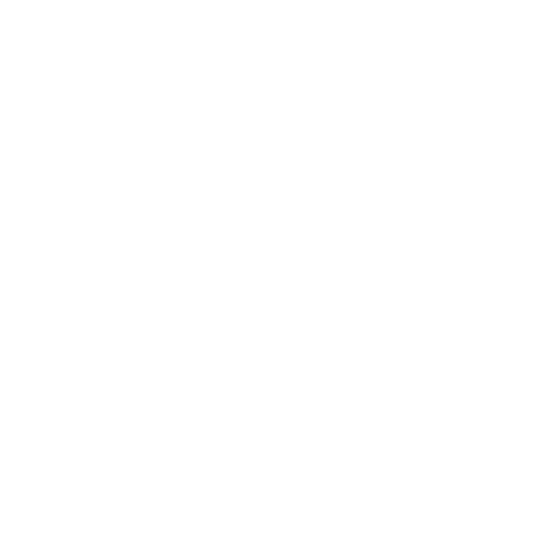 logo Lauriane Pace webdesigner à Albi